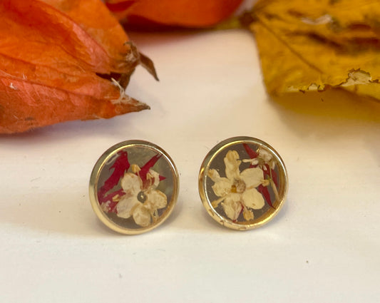 Elderflower and acer gold studs