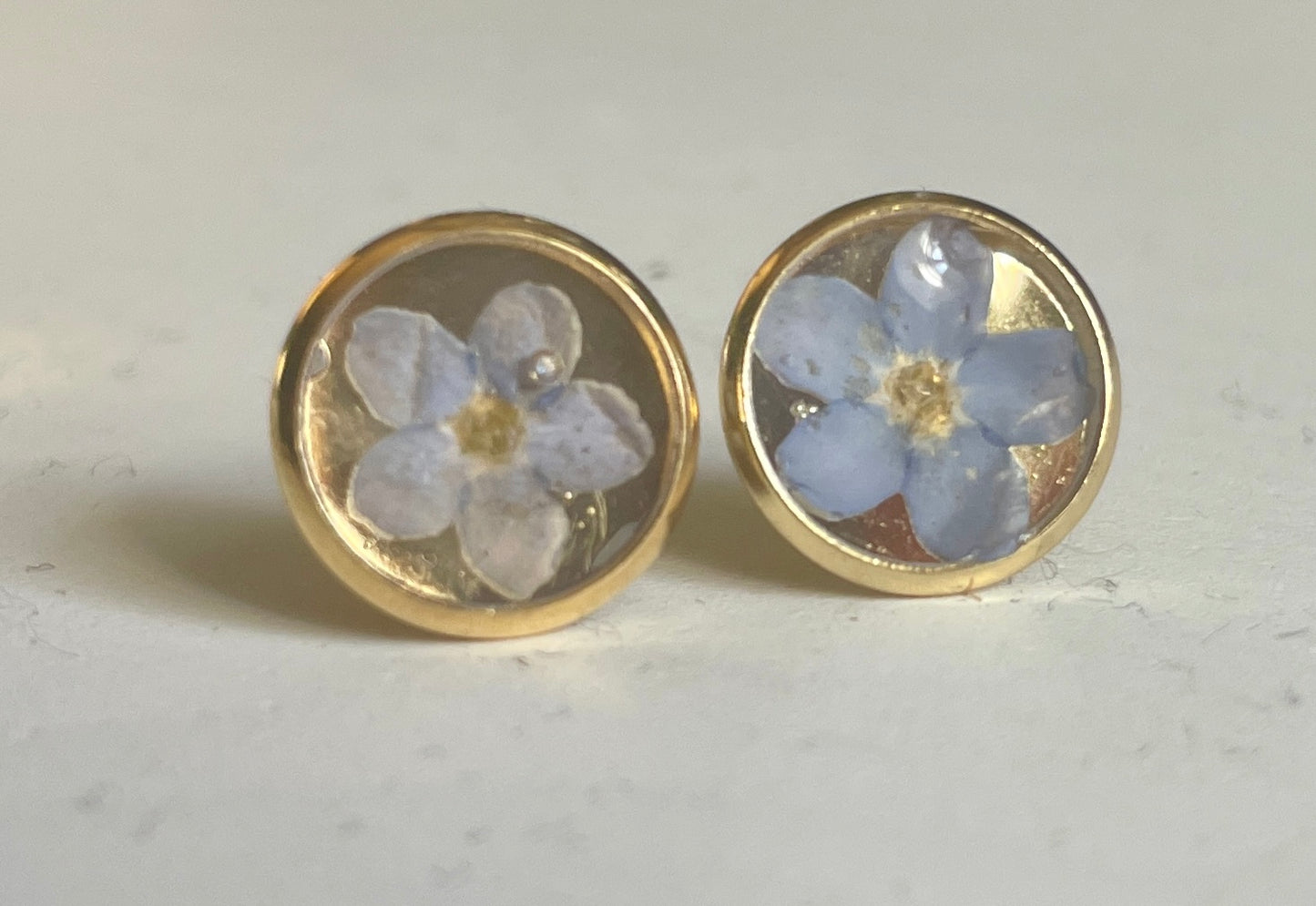 Forget me not gold studs