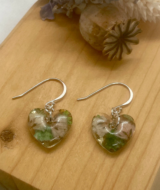 Flat gypsophila green and white