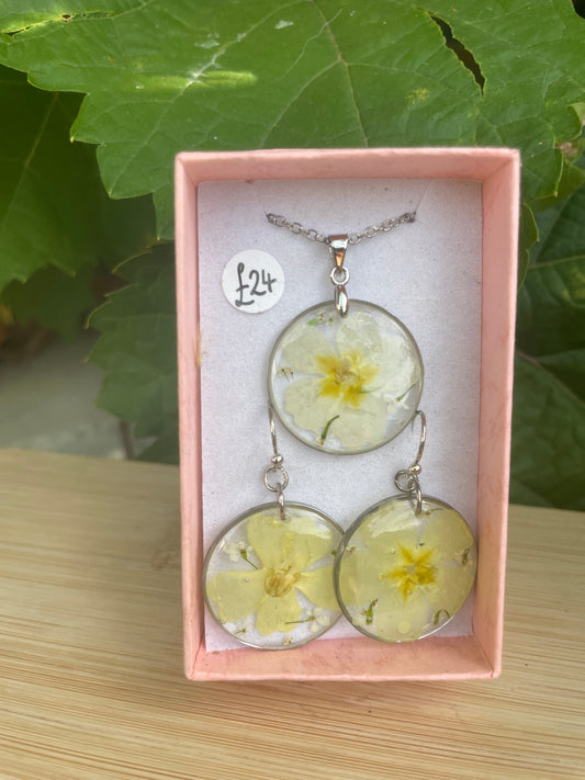 Primrose set