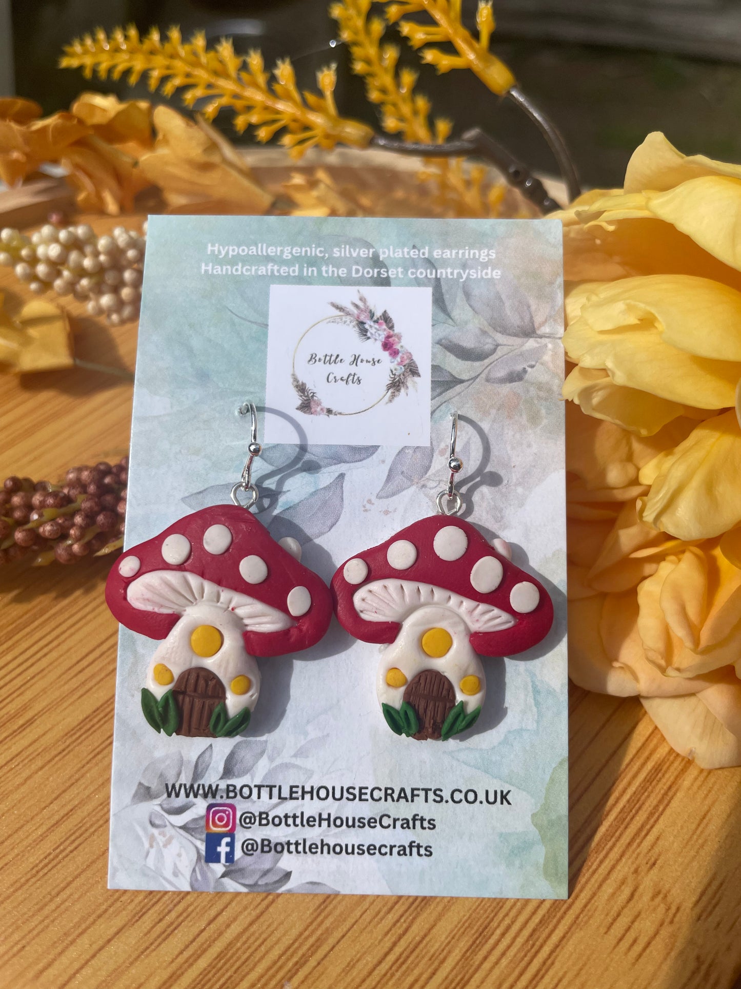 Toadstool earrings - red tops