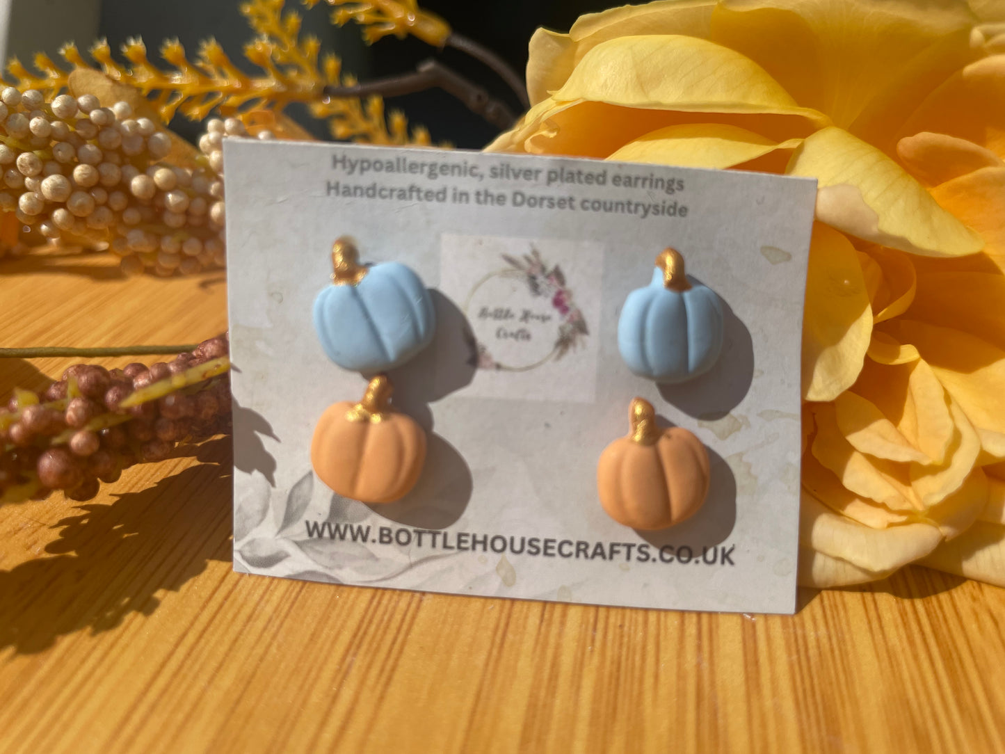 Pumpkin studs - blue/coral duo