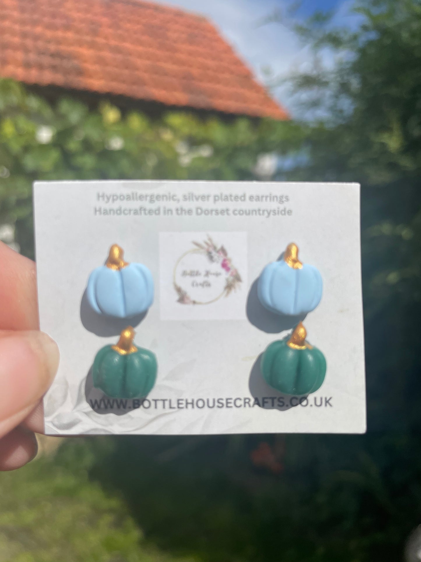 Pumpkin stud duo - blue/green